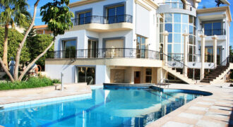 Ivory Shelter Estate