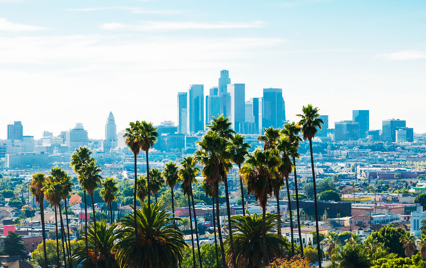 los angeles